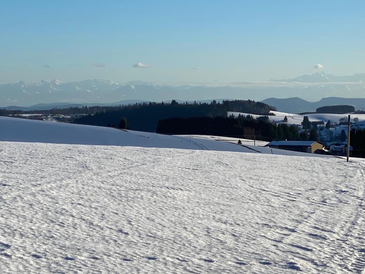 Appartement Bergwaerts Rickenbach  외부 사진