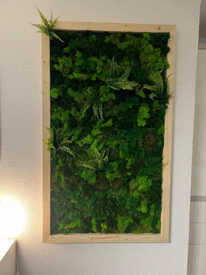 Appartement Bergwaerts Rickenbach  외부 사진