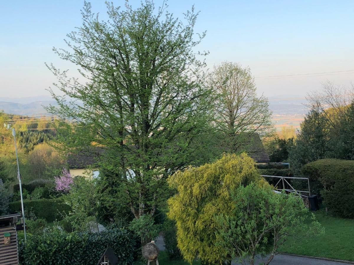Appartement Bergwaerts Rickenbach  외부 사진